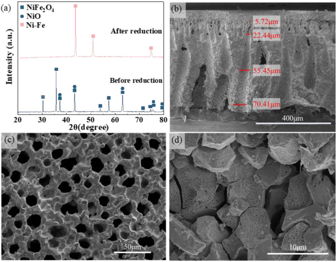 Ni-Fe Supported Solid Oxide Fuel Cells with an Open Graded-Pore Structure  for Enhanced Mass Transport - ScienceDirect