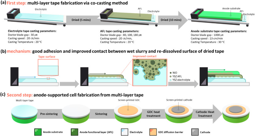 Multilayer Co-casting method for enhanced performance anode-supported  reversible solid oxide cells:Fabrication and effect of anode functional  layer thickness on electrochemical performance - ScienceDirect