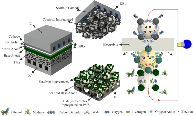 Reviewing metal supported solid oxide fuel cells for efficient electricity  generation with biofuels for mobility - ScienceDirect